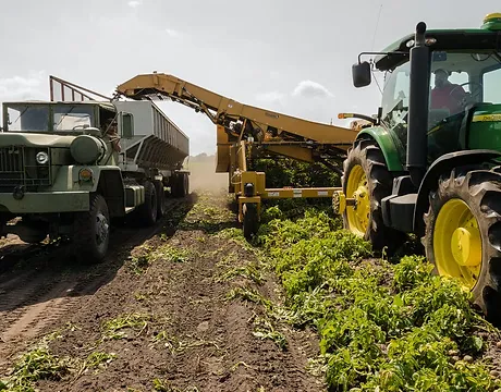 Estratégias competitivas no mercado de insumos agrícolas brasileiro